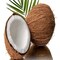 Coconut Fragrance Oil (Our Version of the Brand Name) (1 oz Bottle) for Candle Making, Soap Making, Tart Making, Room Sprays, Lotions, Car Fresheners, Slime, Bath Bombs, Warmers…
